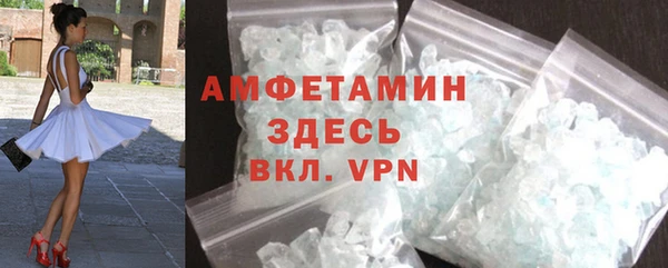 молекула духа Вяземский