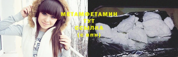молекула духа Вяземский