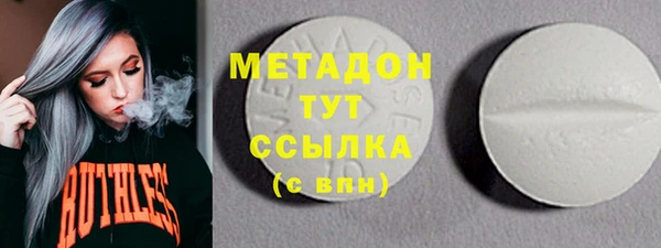 молекула духа Вяземский