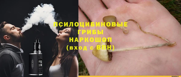 apvp Вязники