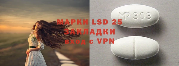молекула духа Вяземский