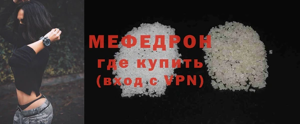молекула духа Вяземский