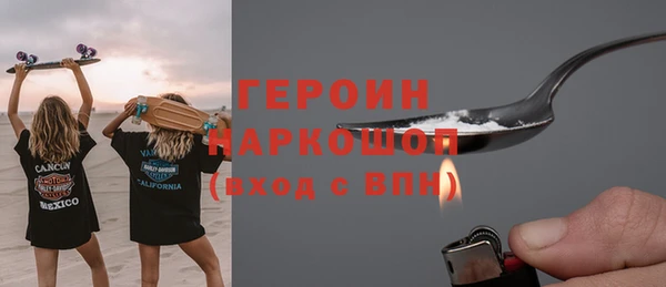молекула духа Вяземский