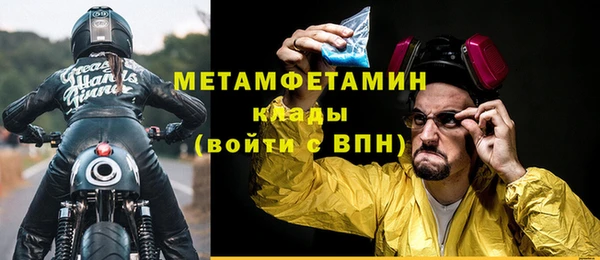 молекула духа Вяземский