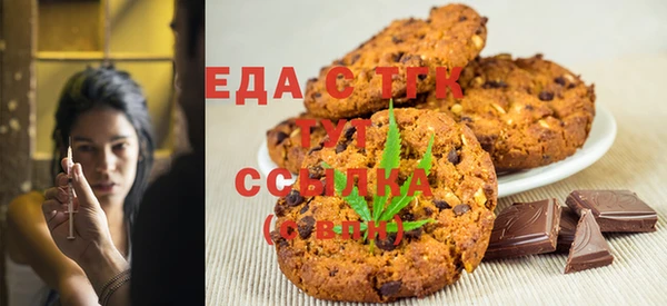 молекула духа Вяземский