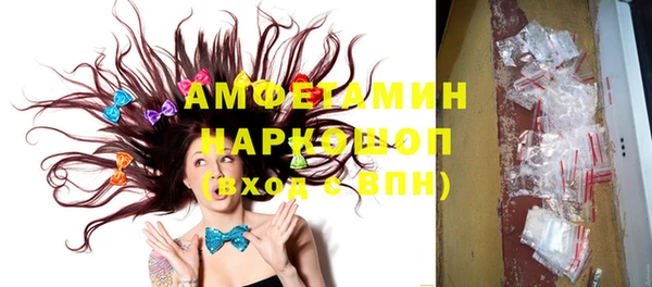 молекула духа Вяземский
