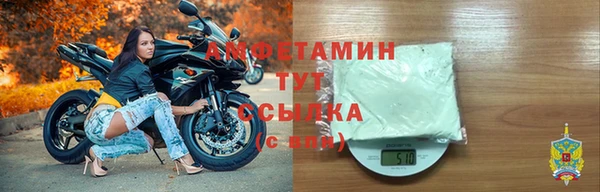 молекула духа Вяземский