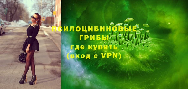 молекула духа Вяземский