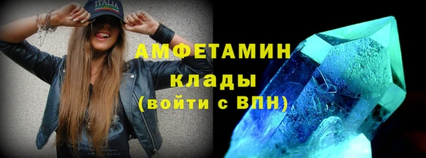 молекула духа Вяземский