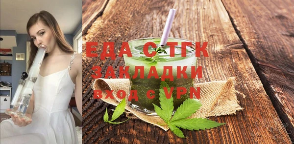 молекула духа Вяземский