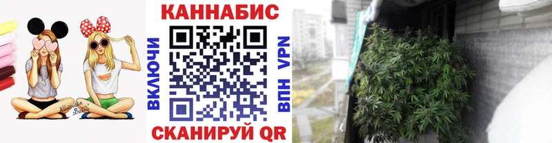 МАРИХУАНА план  Купить закладки  Харабали 